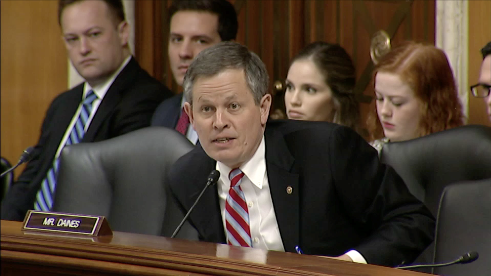 Daines VA 
